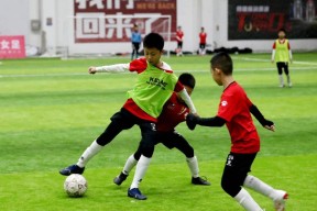 赛地聚焦：意甲国际比赛日热度飙升，成都蓉城更衣室发声，赛场秩序良好，身体对抗强度拉满的简单介绍